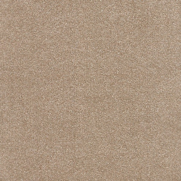 Foundation - Oyster Bay