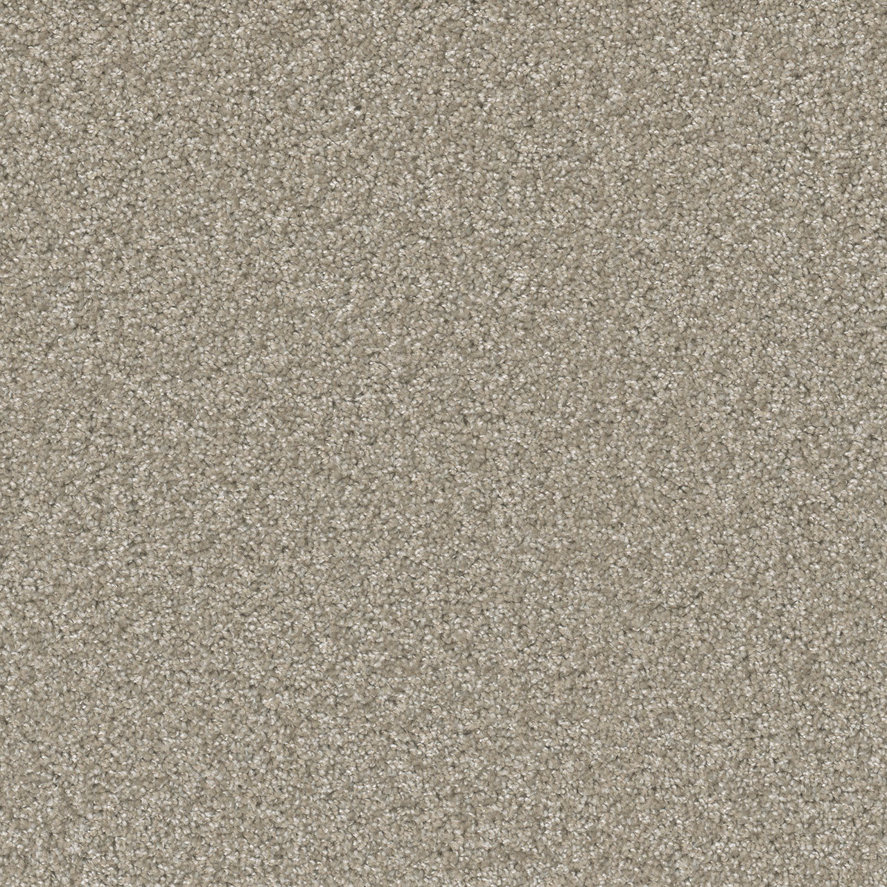 Swashbuckler 3.0 - Clam Shell