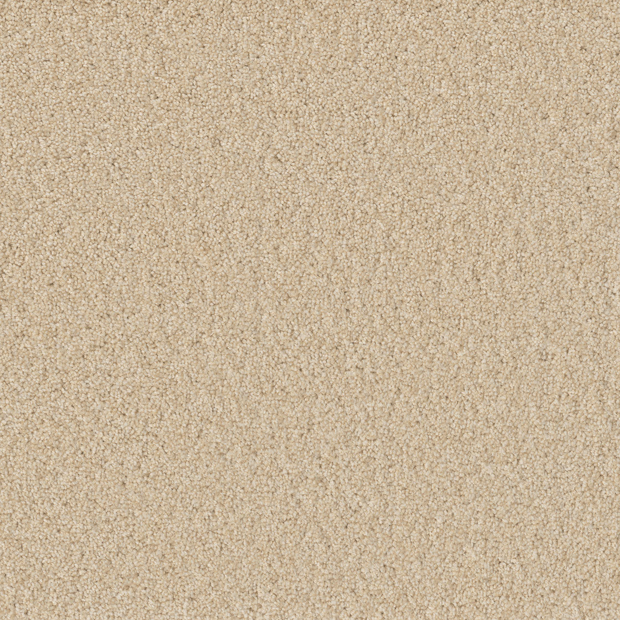 Swashbuckler 3.0 - Classic Ivory
