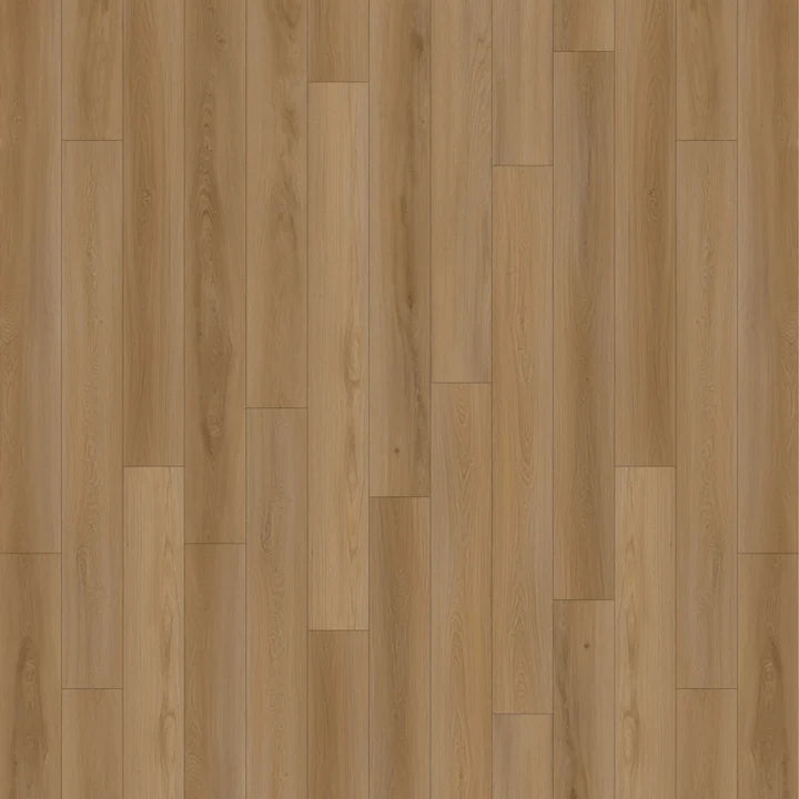 Park Avenue WP - Dazzle