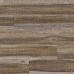 Everglades Plus - Sandstone