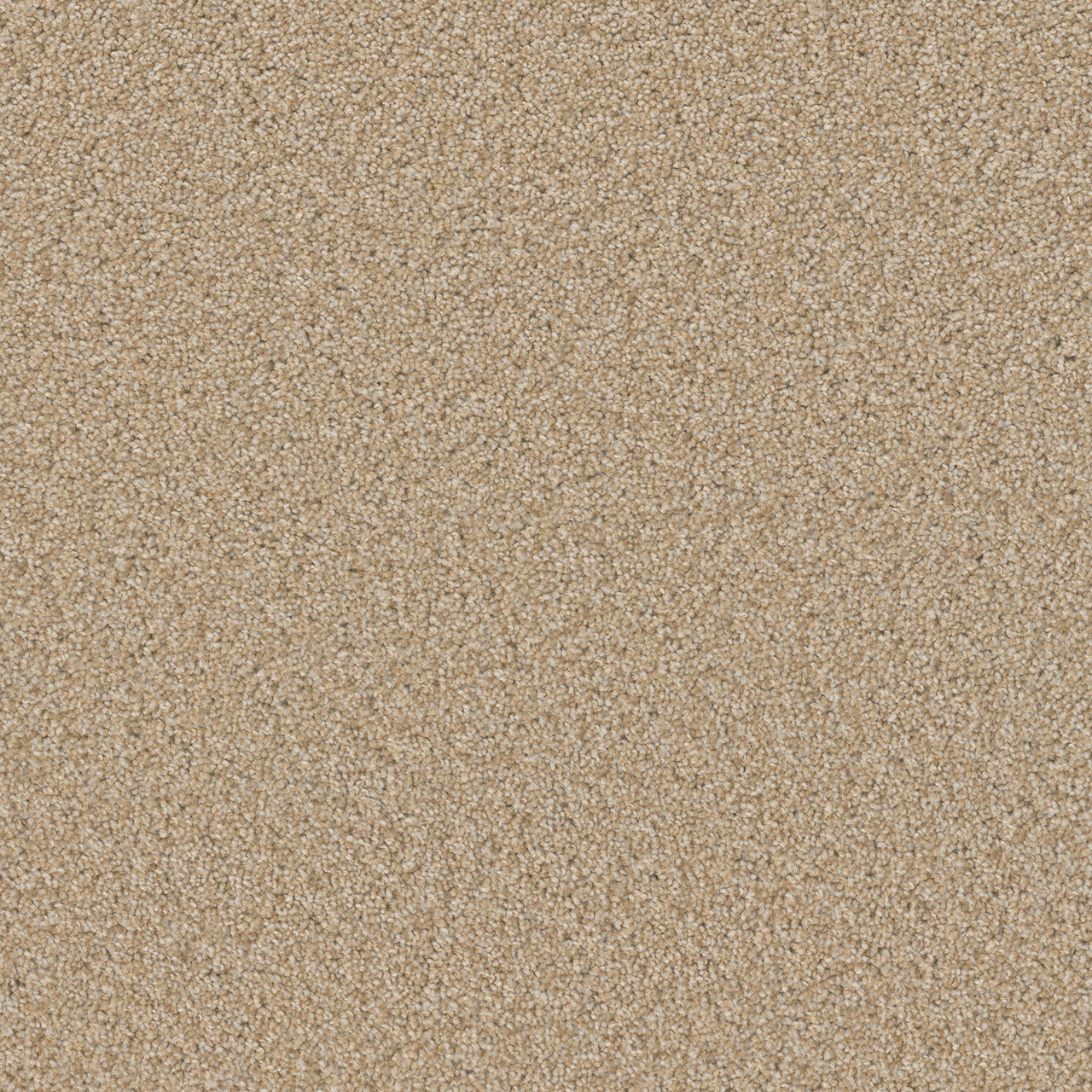 Swashbuckler 3.0 - Frosted Clay
