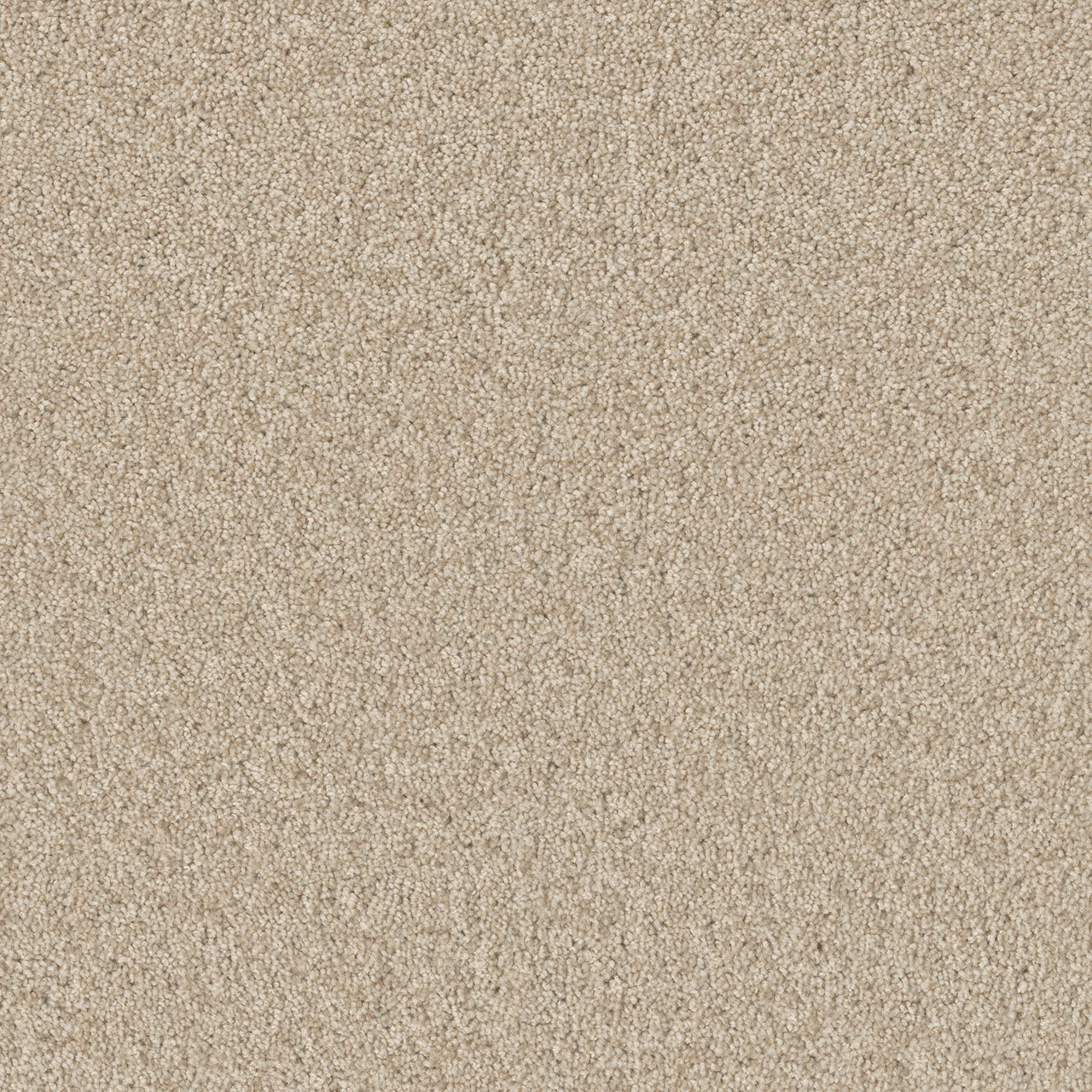 Swashbuckler 3.0 - Light Bisque