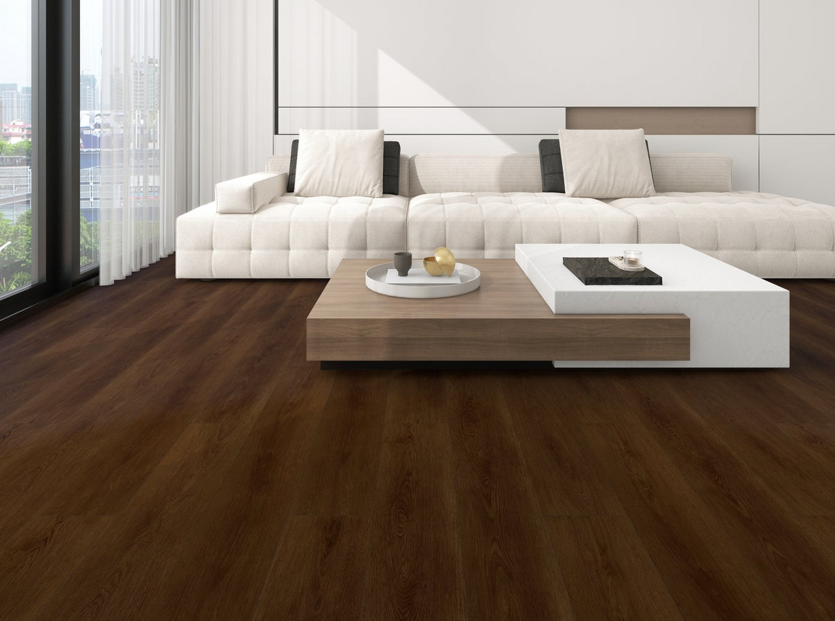 Savvy Living - Patrice