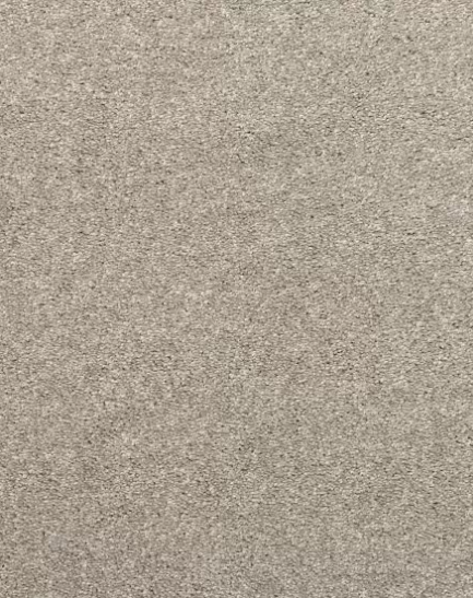 Generations - Seagull