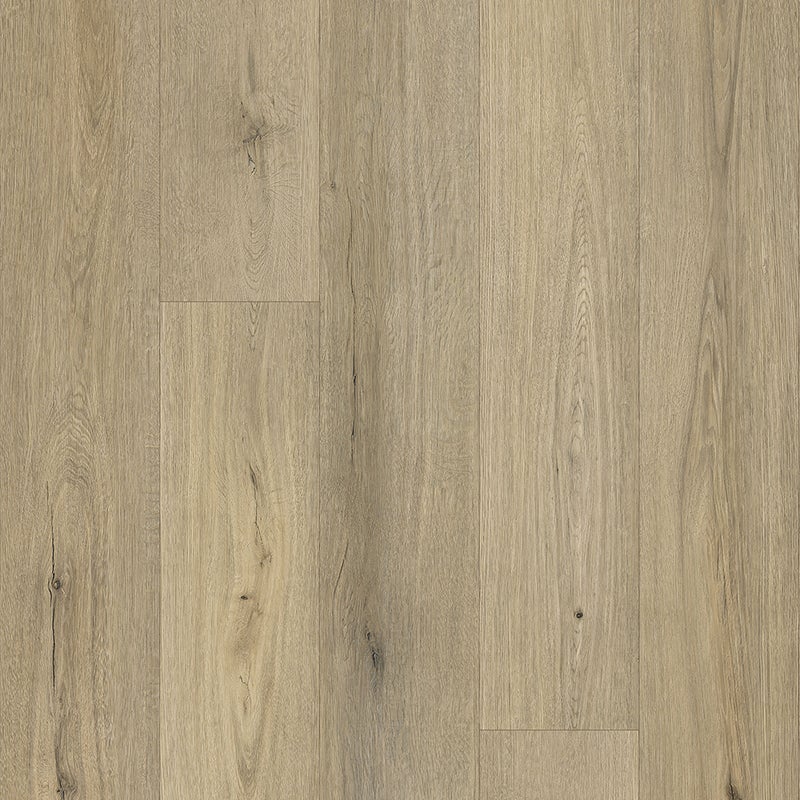 Clearwater - Victory Oak