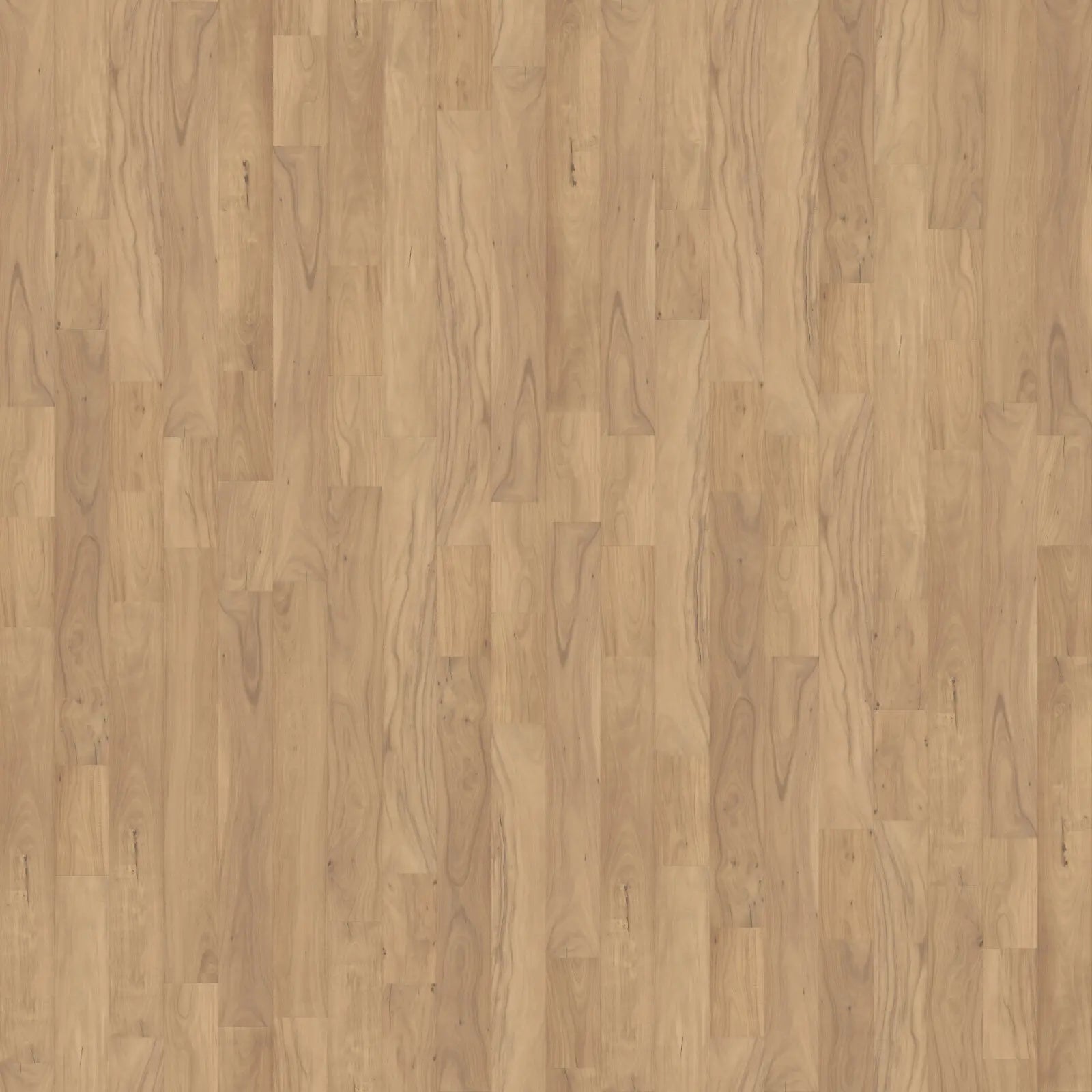 Varietals Wide - Clarified Acacia