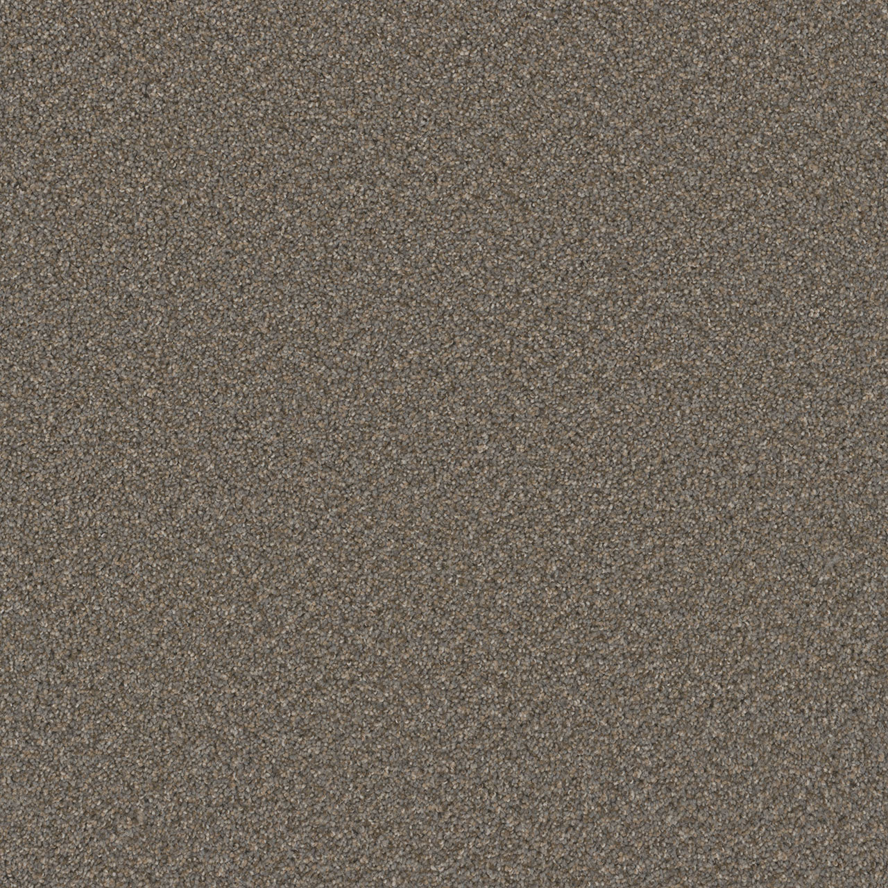 Swashbuckler 3.0 - Field Slate