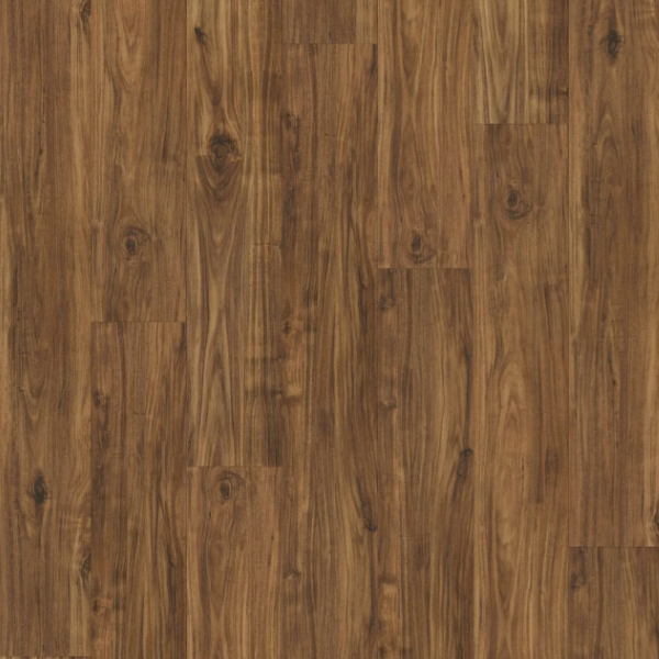 Something Beautiful - Legacy Acacia