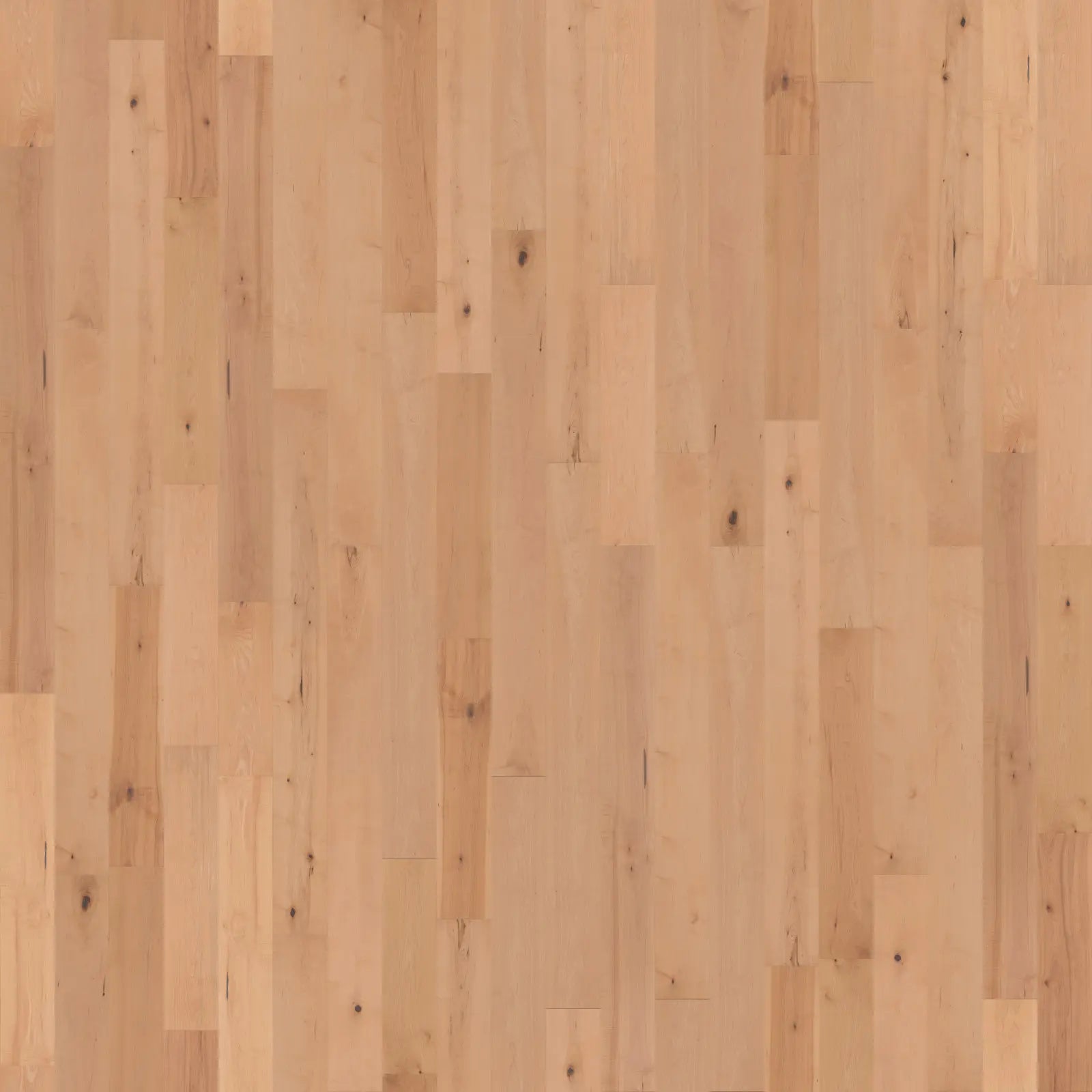 Varietals Wide - Natural Maple