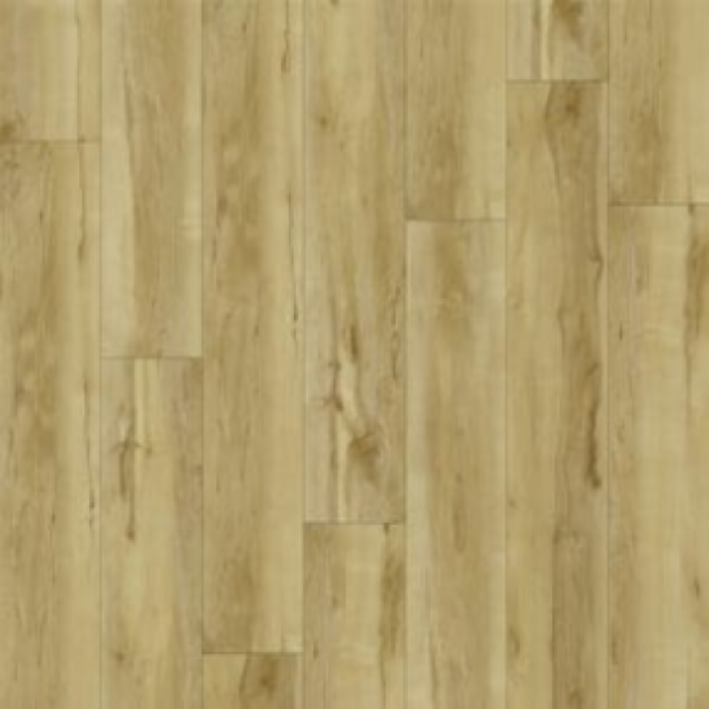Revolution - Enchanting Maple