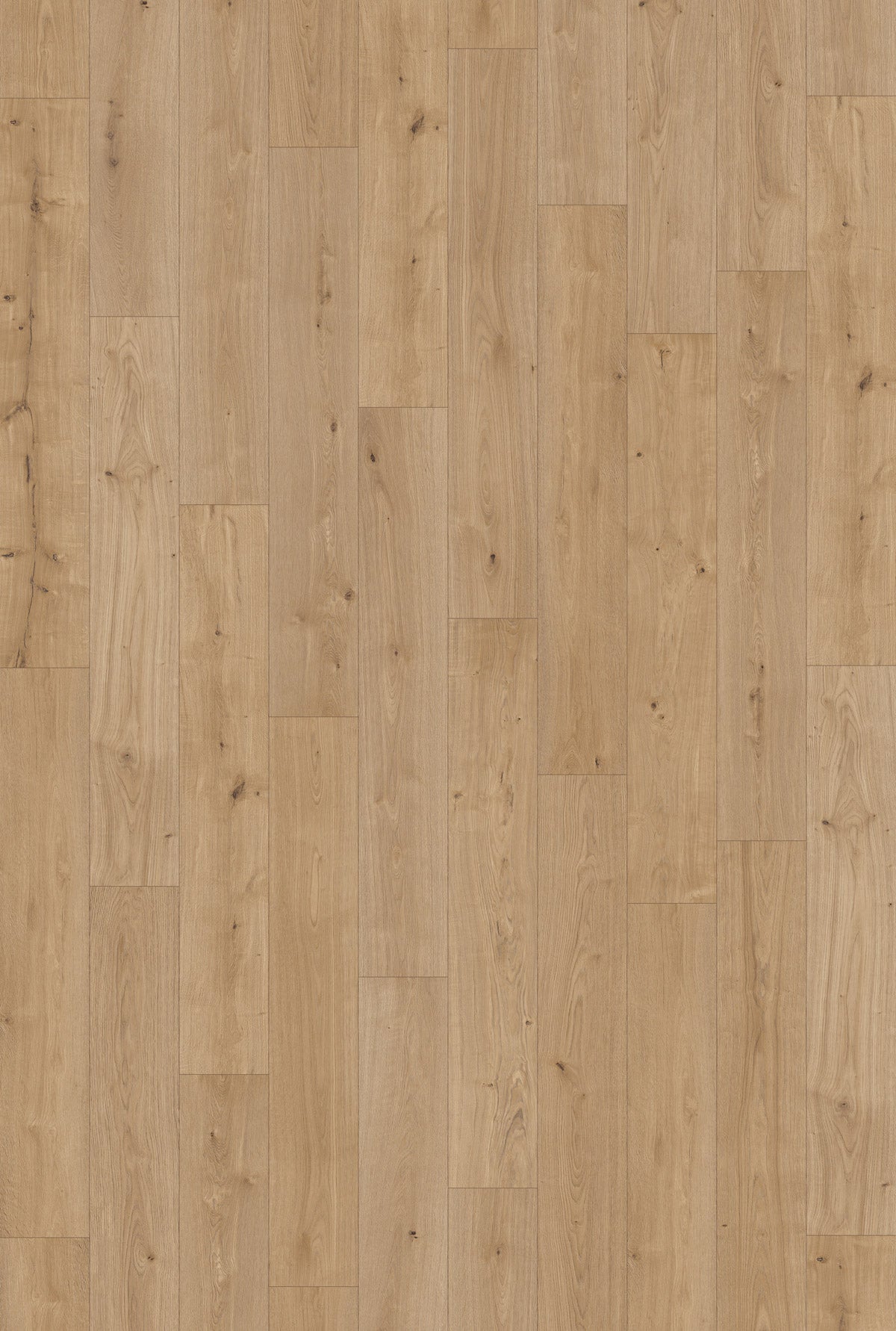 Gallery - Glenbrook